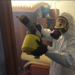 Уничтожение клопов в квартире. Селятино
